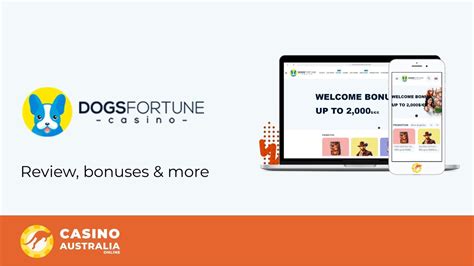 Dogsfortune casino app